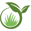 Newport Beach Lawn Clean Up