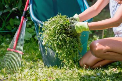 Fall Lawn Cleanup Service