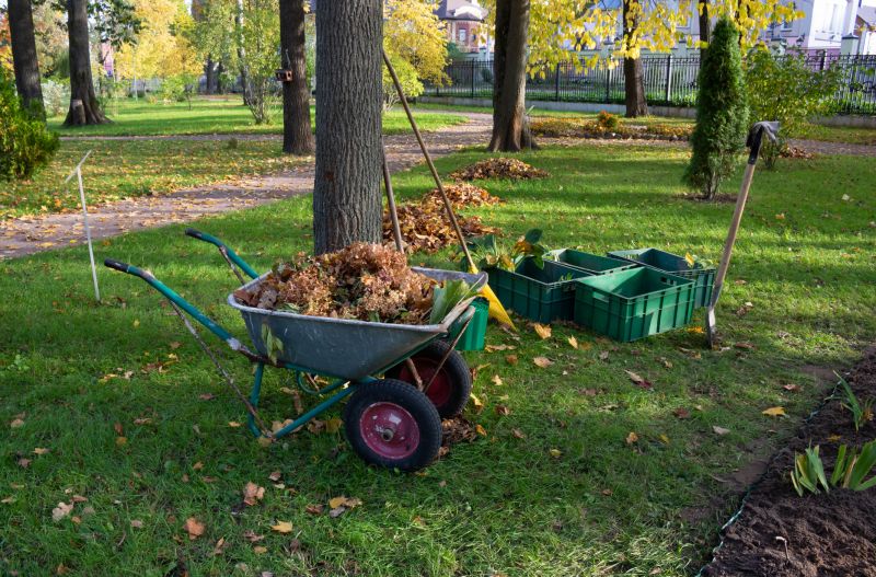 Yard Cleanup Service detail